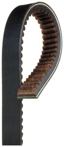 CVT Belt NIPS