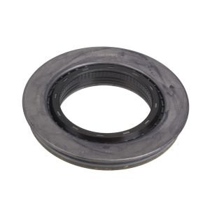 OIL SEALS