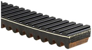 CVT Belt