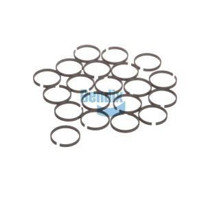 Sealing Ring