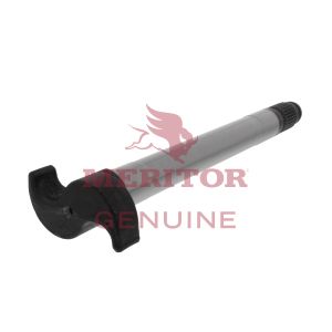 CAMSHAFT/LH