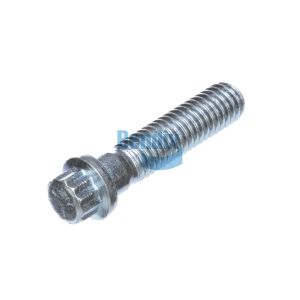 12 Point Flange