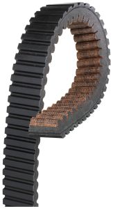 CVT Belt