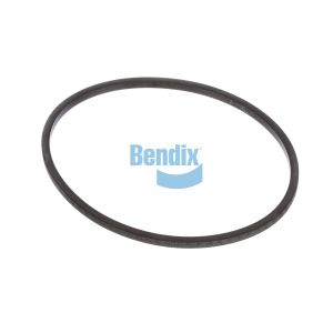 Sealing Ring