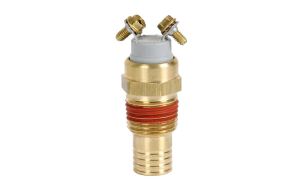 THERMAL SWITCH