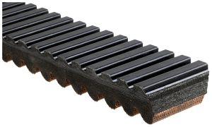 CVT Belt