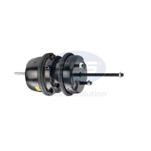 TY30/30 DD SPRING BRAKE