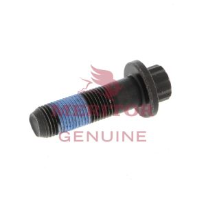 FLG SCREW