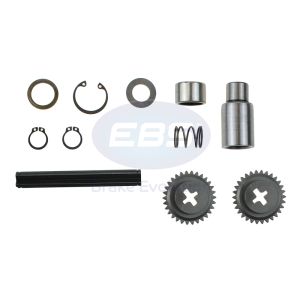 REPAIR KIT CALIPER ( LEVER GEAR & BEARING )