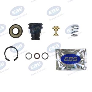 REPAIR KIT ( AIR DRYER )